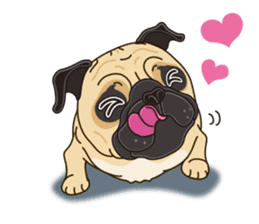 A sticker willingly. Pug 2 (English) sticker #13645421