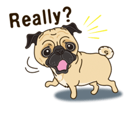 A sticker willingly. Pug 2 (English) sticker #13645426