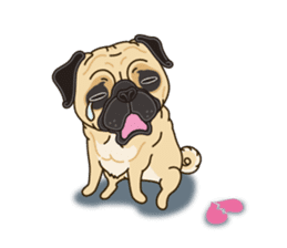 A sticker willingly. Pug 2 (English) sticker #13645429
