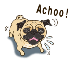 A sticker willingly. Pug 2 (English) sticker #13645432