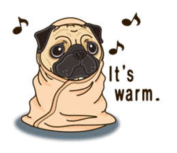 A sticker willingly. Pug 2 (English) sticker #13645437