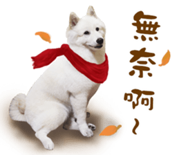 MI ER LIFE sticker #13646065