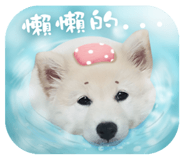 MI ER LIFE sticker #13646067