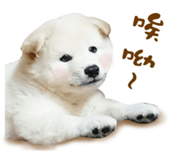 MI ER LIFE sticker #13646068