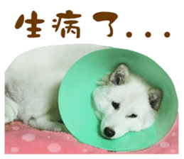 MI ER LIFE sticker #13646070