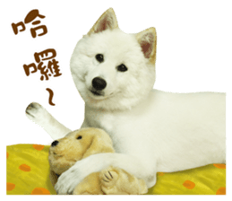 MI ER LIFE sticker #13646071