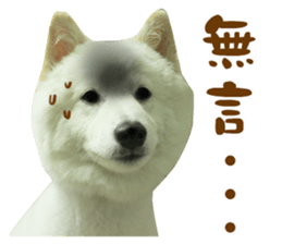 MI ER LIFE sticker #13646074