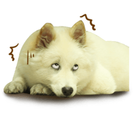 MI ER LIFE sticker #13646078