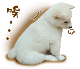 MI ER LIFE sticker #13646081