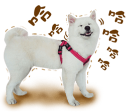 MI ER LIFE sticker #13646082