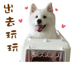 MI ER LIFE sticker #13646083