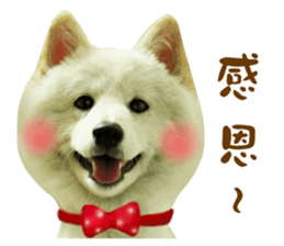 MI ER LIFE sticker #13646084