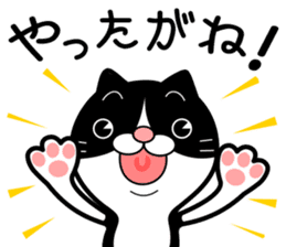 The hachiware cat sticker #13646393