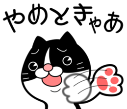 The hachiware cat sticker #13646415
