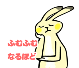 Koto-chan usagi Sticker sticker #13646626