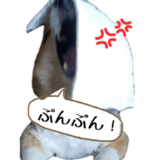 my lovely dog nene, corgi sticker #13647335