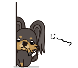 iinu - Russian Toy Terrier sticker #13647411