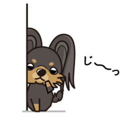 iinu - Russian Toy Terrier sticker #13647411