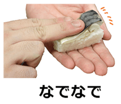 Real sushi. sticker #13647829