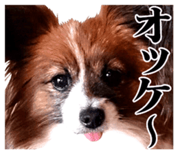 The dog which is malicious language sticker #13647856