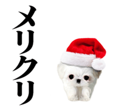 The dog which is malicious language sticker #13647870