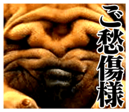 The dog which is malicious language sticker #13647875