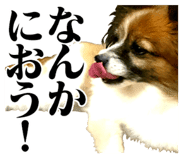 The dog which is malicious language sticker #13647876