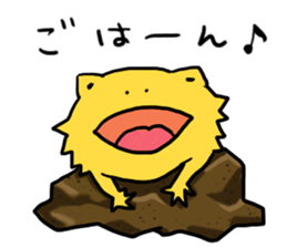 with Bearded dragon sticker #13650000