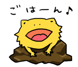 with Bearded dragon sticker #13650000