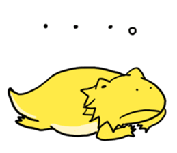 with Bearded dragon sticker #13650001