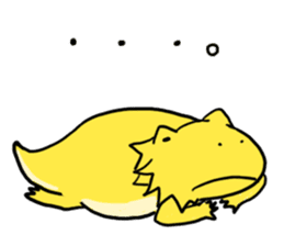 with Bearded dragon sticker #13650001