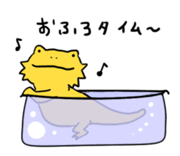 with Bearded dragon sticker #13650012