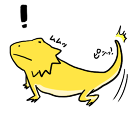 with Bearded dragon sticker #13650015