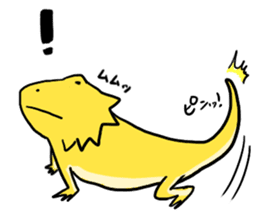 with Bearded dragon sticker #13650015