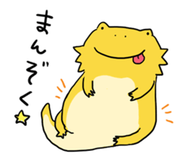 with Bearded dragon sticker #13650025