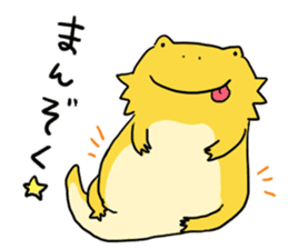 with Bearded dragon sticker #13650025