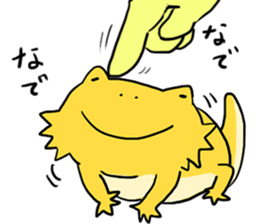 with Bearded dragon sticker #13650028