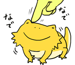 with Bearded dragon sticker #13650028