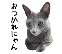 Sophia and Elvis sticker #13650167