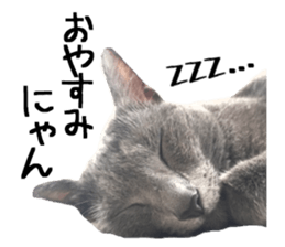 Sophia and Elvis sticker #13650168