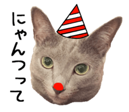 Sophia and Elvis sticker #13650171