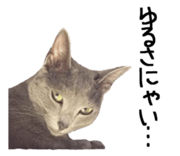 Sophia and Elvis sticker #13650175