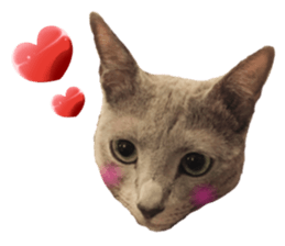 Sophia and Elvis sticker #13650177