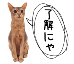 Sophia and Elvis sticker #13650184