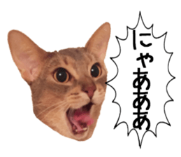 Sophia and Elvis sticker #13650192