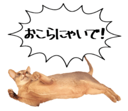 Sophia and Elvis sticker #13650195