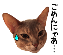 Sophia and Elvis sticker #13650196