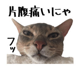 Sophia and Elvis sticker #13650197