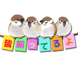 Scrap booking sticker #13650296