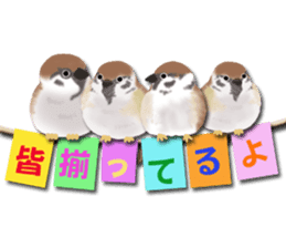 Scrap booking sticker #13650296